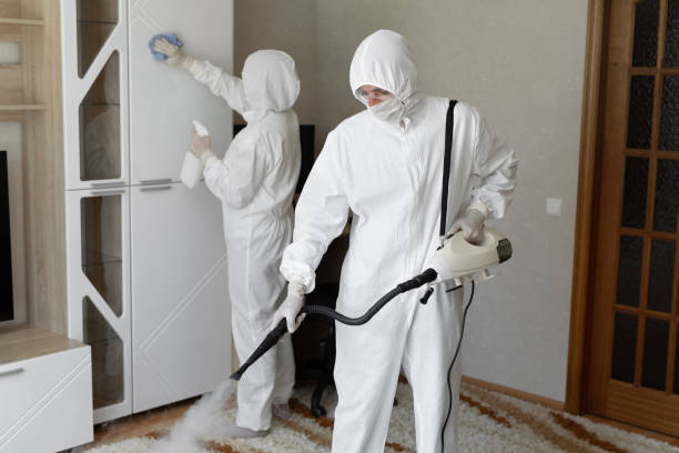Best Mold Testing  in Morrison, IL