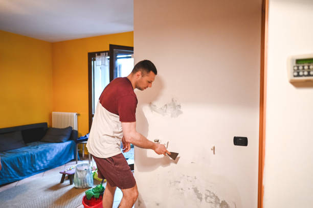 Home Mold Removal in Morrison, IL